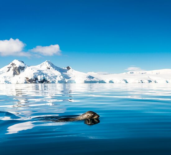 Nordspitzbergen Basecamp - Kajakfahren, Schneeschuhwandern, Wandern & Fotoworkshop © Antarktis alles